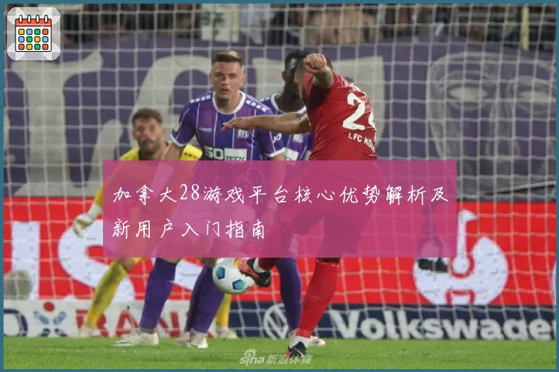 加拿大28游戏平台核心优势解析及新用户入门指南