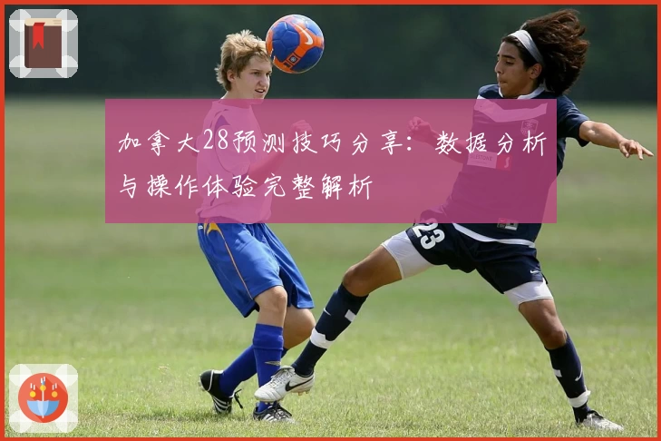 加拿大28预测技巧分享：数据分析与操作体验完整解析