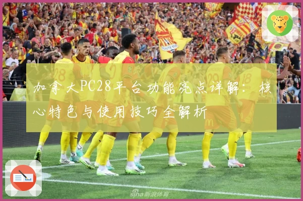 加拿大PC28平台功能亮点详解：核心特色与使用技巧全解析
