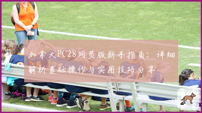 加拿大PC28网页版新手指南：详细解析基础操作与实用技巧分享