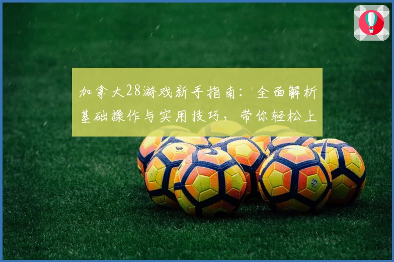 加拿大28游戏新手指南：全面解析基础操作与实用技巧，带你轻松上手稳定体验