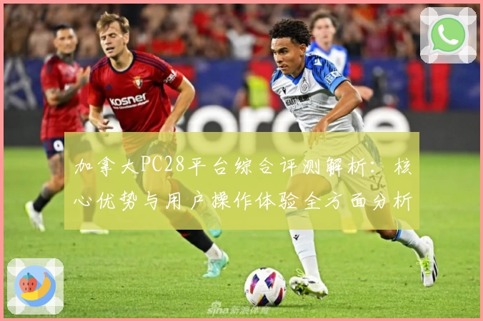 加拿大PC28平台综合评测解析:核心优势与用户操作体验全方面分析