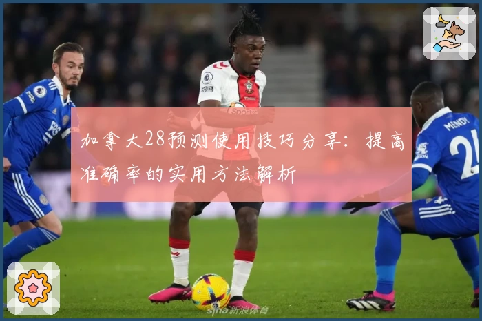 加拿大28预测使用技巧分享：提高准确率的实用方法解析