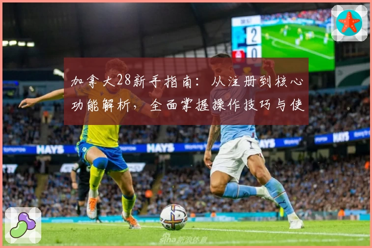 加拿大28新手指南：从注册到核心功能解析，全面掌握操作技巧与使用体验