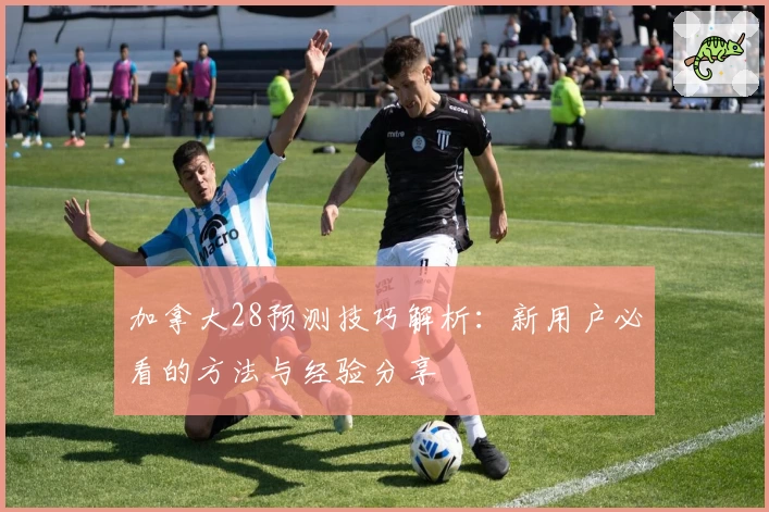 加拿大28预测技巧解析：新用户必看的方法与经验分享
