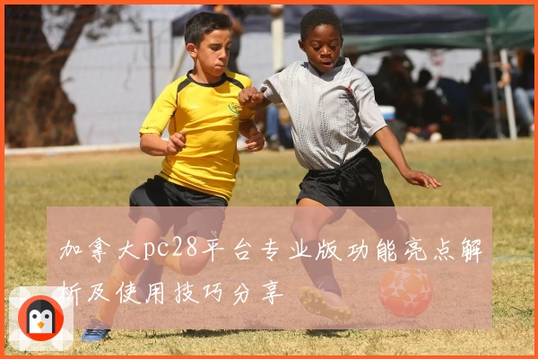 加拿大pc28平台专业版功能亮点解析及使用技巧分享